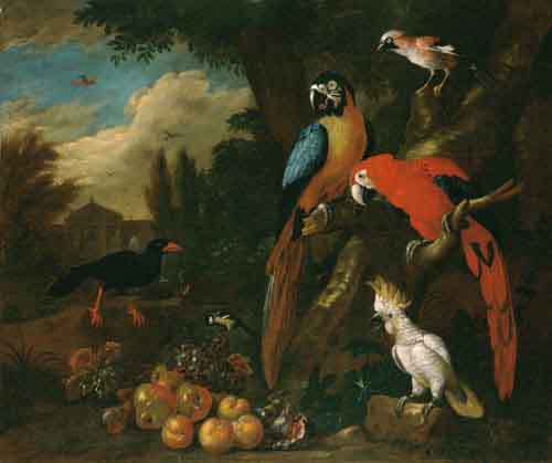 Still Life with Fruit